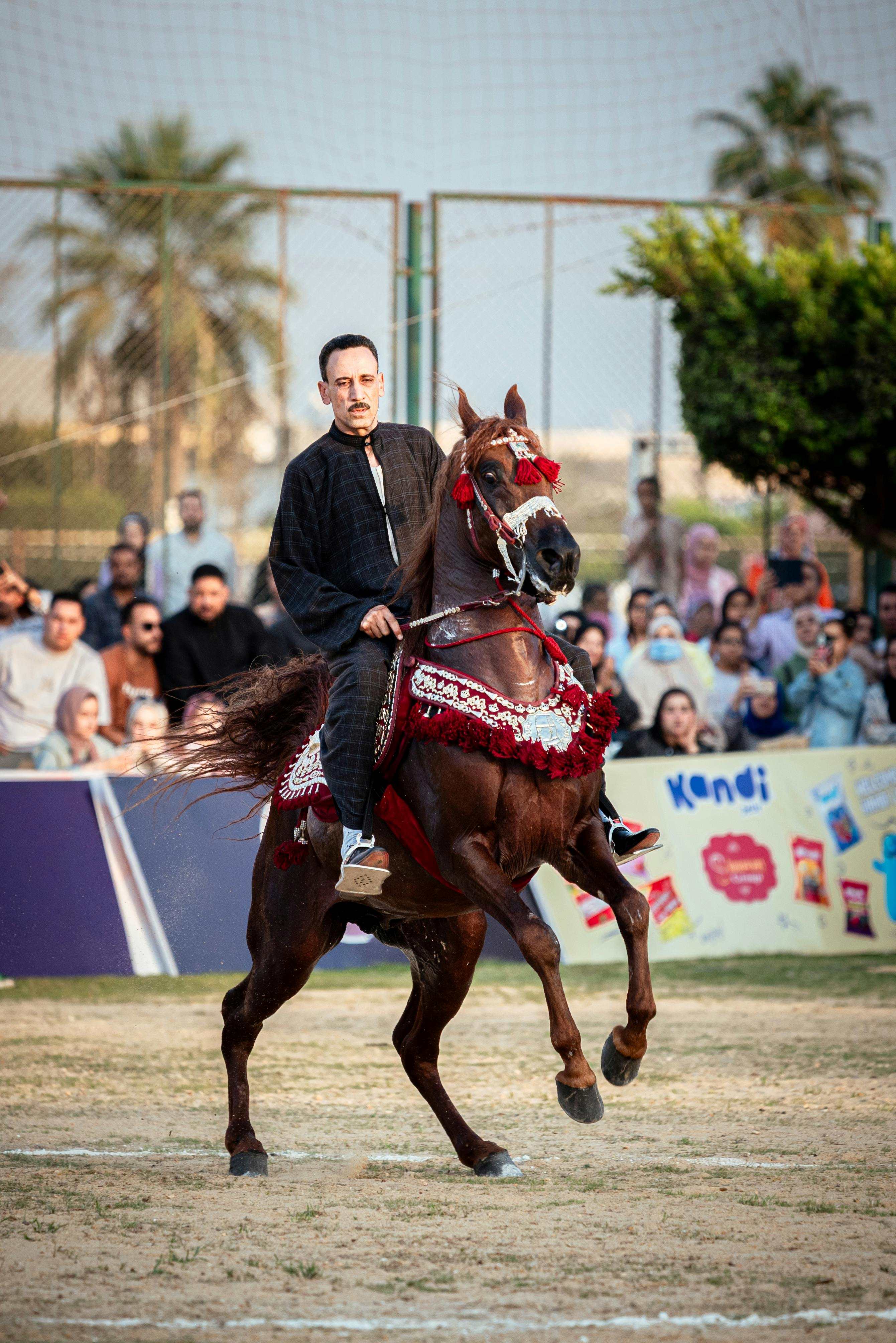 Alexandria Mediterranean Coast: Day Trips & Historical Sites